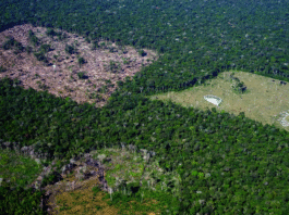 Plano Clima concentra metas, mas especialistas apontam lacunas na implementação