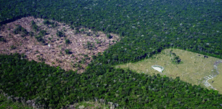 Plano Clima concentra metas, mas especialistas apontam lacunas na implementação
