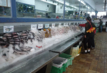 Todos os peixes que comemos estão contaminados com metilmercúrio; mas existem apenas 4 tipos específicos que devemos evitar