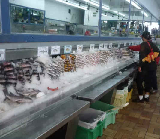 Todos os peixes que comemos estão contaminados com metilmercúrio; mas existem apenas 4 tipos específicos que devemos evitar