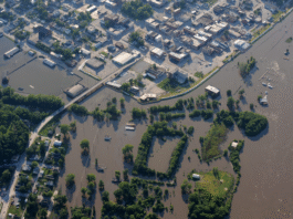 A crise climática não é só ambiental — é também de modelo econômico