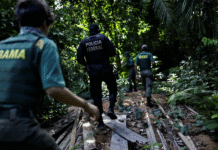 Flexibilização do licenciamento ambiental tem início; STF analisa constitucionalidade