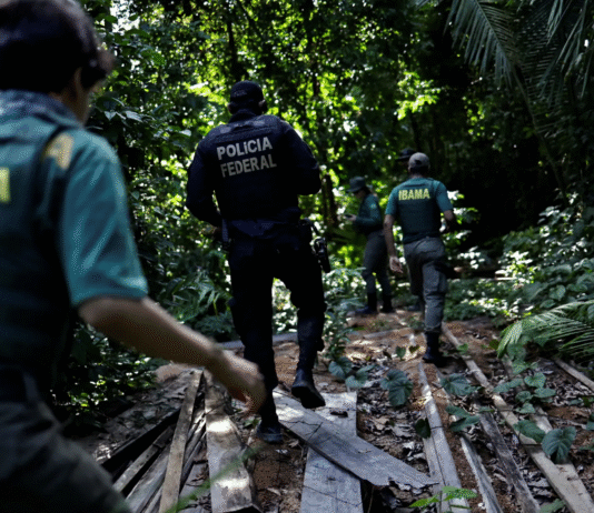 Flexibilização do licenciamento ambiental tem início; STF analisa constitucionalidade