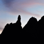 Serra dos Órgãos: a área protegida mais rica em plantas