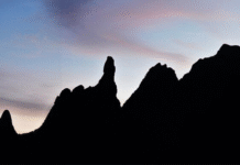 Serra dos Órgãos: a área protegida mais rica em plantas