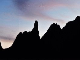 Serra dos Órgãos: a área protegida mais rica em plantas