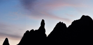 Serra dos Órgãos: a área protegida mais rica em plantas