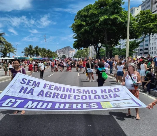 Integrantes do Movimento Baía Viva estiveram presentes à manifestação #8M 2026 que aconteceu em Copacabana, no Rio de Janeiro.