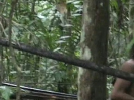 Quem são e como vivem os povos indígenas isolados do Brasil – e por que é importante protegê-los