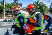 Política de proteção a animais resgatados em desastres agora é lei