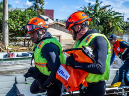 Política de proteção a animais resgatados em desastres agora é lei