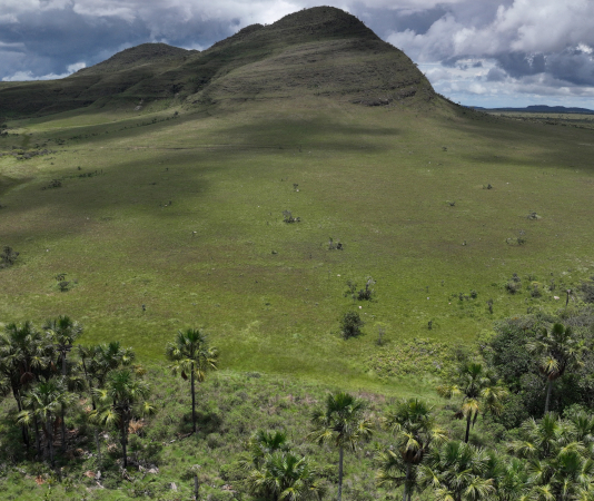 Pesquisa mostra que áreas úmidas do Cerrado armazenam mais carbono do que florestas na Amazônia