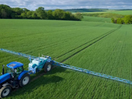 Agrotóxicos disparam no Brasil e crescem 2,6 vezes mais que a área plantada