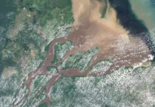 Vazamento na Foz do Amazonas reacendeu debate sobre riscos desconhecidos da exploração de petróleo na região