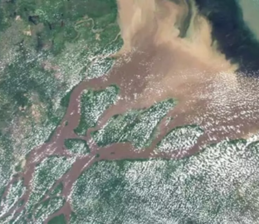 Vazamento na Foz do Amazonas reacendeu debate sobre riscos desconhecidos da exploração de petróleo na região