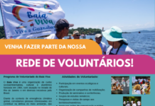Programa de Voluntariado