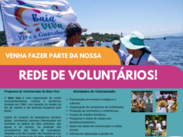 Programa de Voluntariado