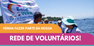 Programa de Voluntariado