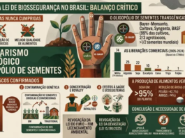 21 anos de transgênicos no Brasil: uso de agrotóxicos cresce 300%