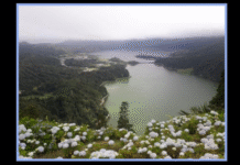 Açores: “hesitei entre Ponta Delgada e Campos”