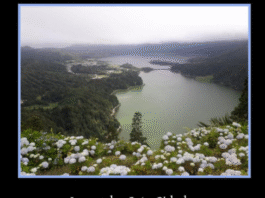 Açores: “hesitei entre Ponta Delgada e Campos”