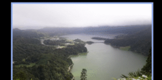 Açores: “hesitei entre Ponta Delgada e Campos”