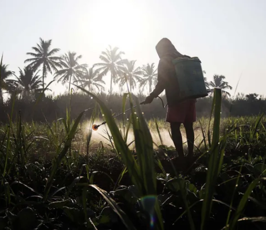 Agrotóxicos geram estragos no microbioma intestinal, causando diabetes e outras doenças