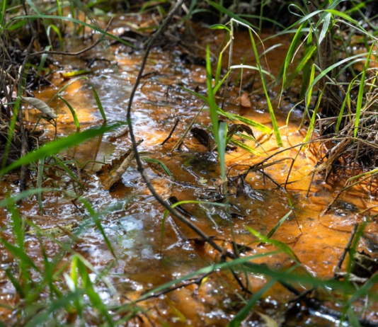 ANA abre chamamento para reconhecer projetos de conservação de água e solo no Programa Produtor de Água