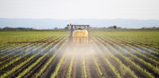 O uso de glifosato na agricultura do Reino Unido aumentou 1.000% desde 1990