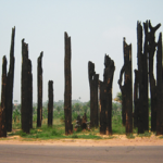 Sobre os 30 anos do massacre de Eldorado dos Carajás