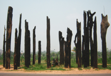 Sobre os 30 anos do massacre de Eldorado dos Carajás