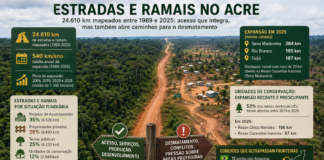 Acre: estradas invisíveis avançam e colocam em risco unidades de conservação e terras indígenas