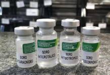 Iniciativa “Soro Já” busca agilizar acesso a tratamento contra picadas de animais peçonhentos