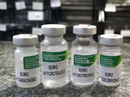 Iniciativa “Soro Já” busca agilizar acesso a tratamento contra picadas de animais peçonhentos