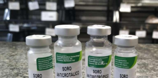 Iniciativa “Soro Já” busca agilizar acesso a tratamento contra picadas de animais peçonhentos