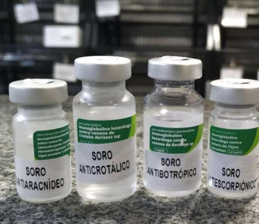 Iniciativa “Soro Já” busca agilizar acesso a tratamento contra picadas de animais peçonhentos