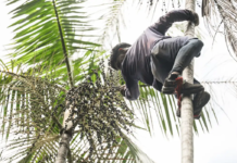 Governo investe R$ 132 milhões em regularização fundiária na Amazônia