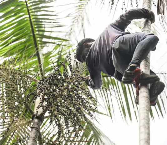 Governo investe R$ 132 milhões em regularização fundiária na Amazônia