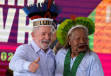 Reportagem revela como rede complexa de ONGs, corporações, bancos de desenvolvimento e capital filantrópico está remodelando a “bioeconomia” da Amazônia