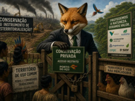 A raposa no comando do galinheiro: a captura corporativa da conservação ambiental