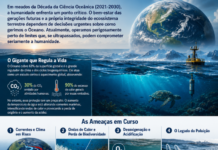 O oceano do amanhã: Por que o equilíbrio do planeta depende dos mares