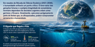 O oceano do amanhã: Por que o equilíbrio do planeta depende dos mares