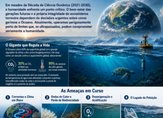 O oceano do amanhã: Por que o equilíbrio do planeta depende dos mares