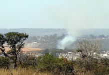 Ministério do Meio Ambiente lança edital para arborizar periferias de pequenas cidades e ampliar combate ao calor extremo