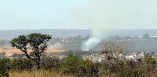 Ministério do Meio Ambiente lança edital para arborizar periferias de pequenas cidades e ampliar combate ao calor extremo
