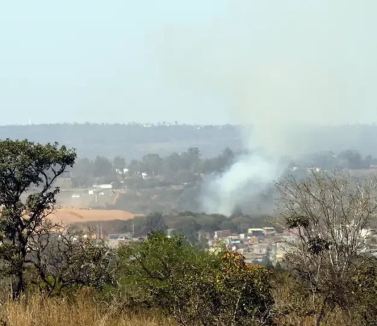 Ministério do Meio Ambiente lança edital para arborizar periferias de pequenas cidades e ampliar combate ao calor extremo