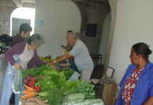 Do lote à feira. Artigo discute gargalos que afetam a comercialização da produção agrícola dos assentamentos de reforma agrária em Campos