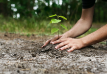 Compensação ambiental não compensa!
