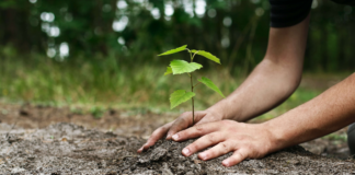Compensação ambiental não compensa!