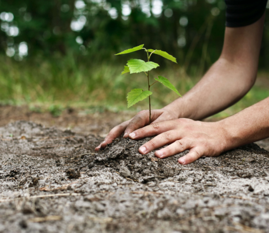 Compensação ambiental não compensa!